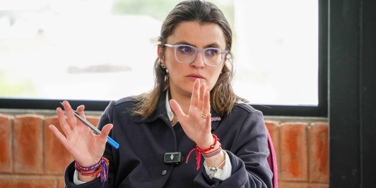 Vicepresidenta María José Pinto.