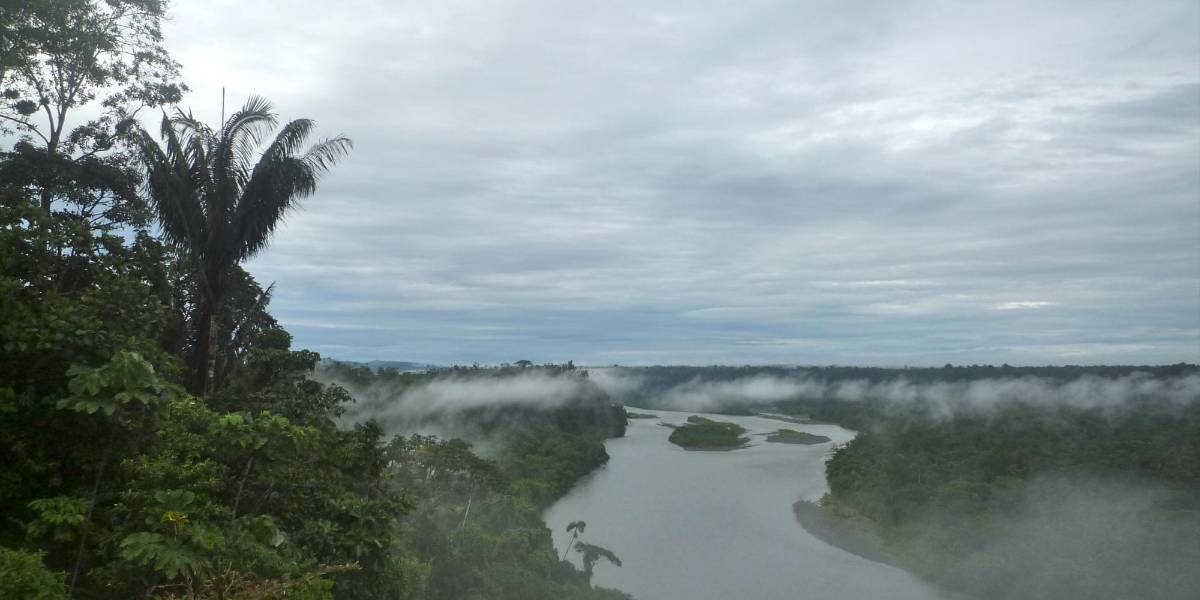 En el norte y centro de la Amazonía se registraron lluvias moderadas y puntuales