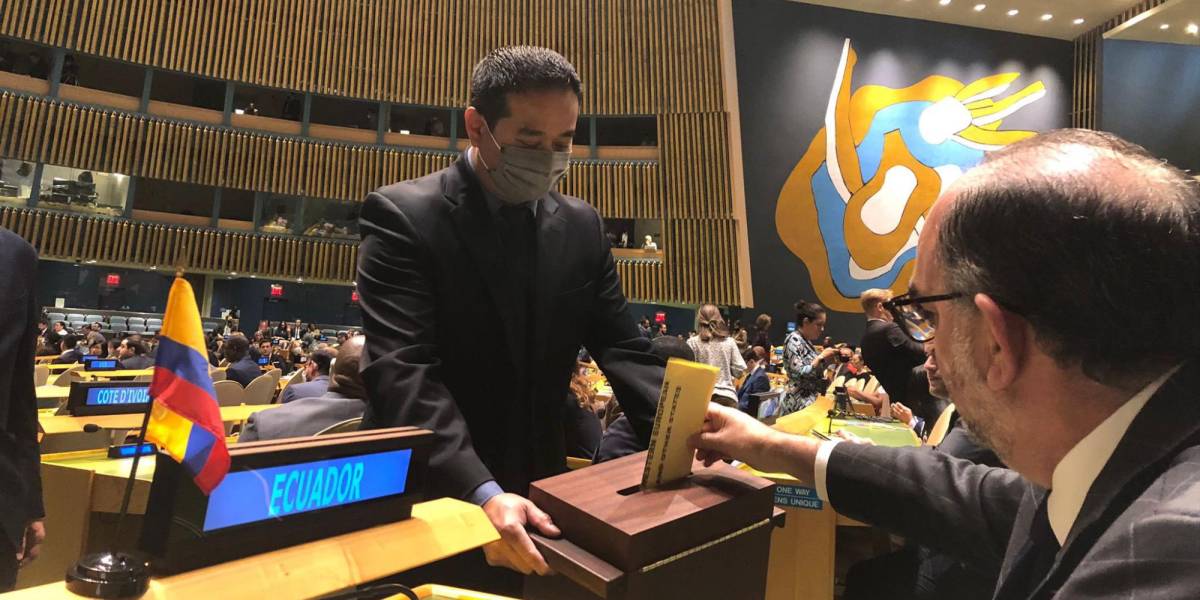Consejo de Seguridad de la ONU: Ecuador está en las grandes ligas