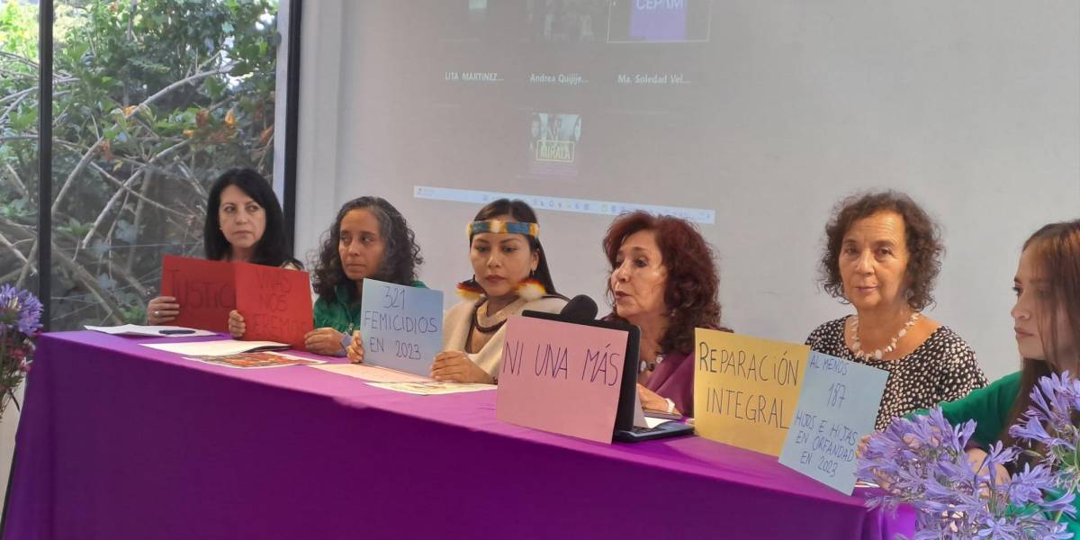 Más de 300 femicidios se cometieron en el Ecuador durante el 2023