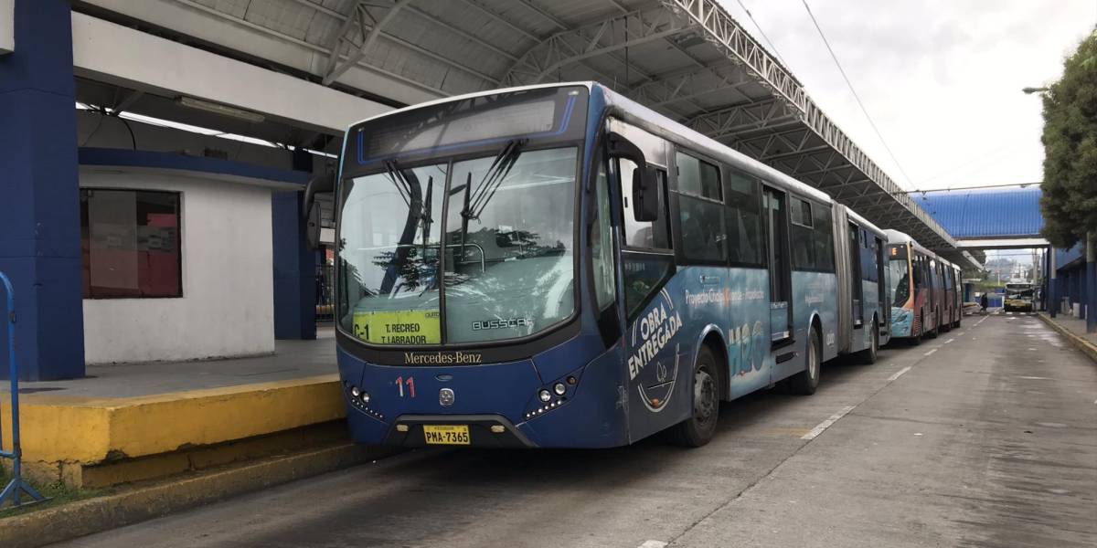 Paro nacional: conozca la operación del Trolebús y Ecovía en Quito