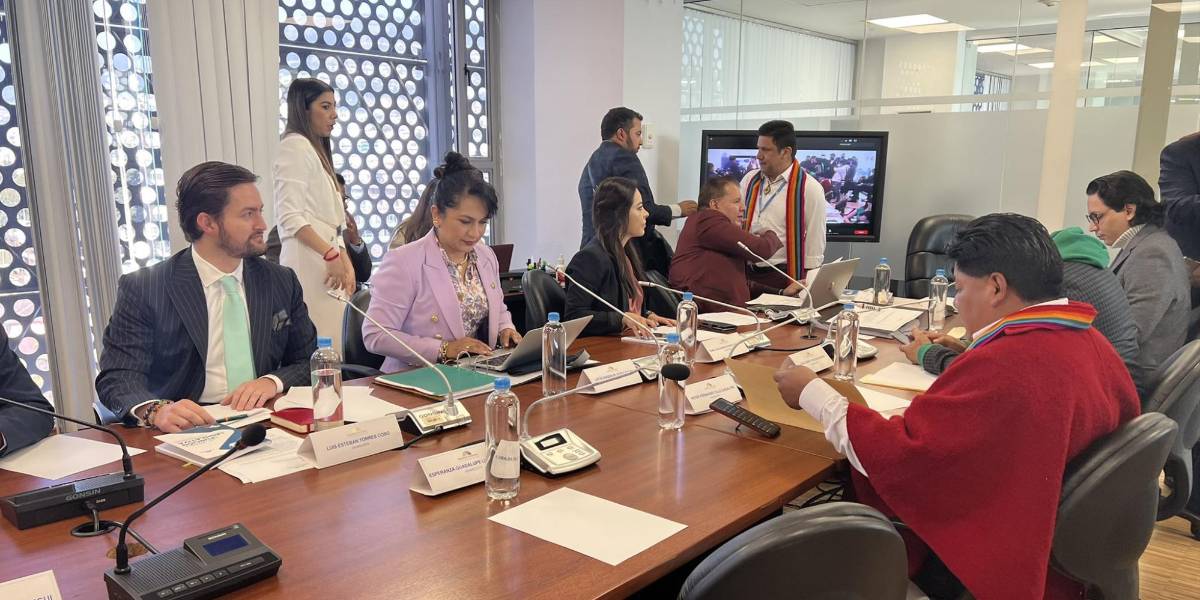 Comisión pluripartidista que evalúa a Llori sí logró reunirse