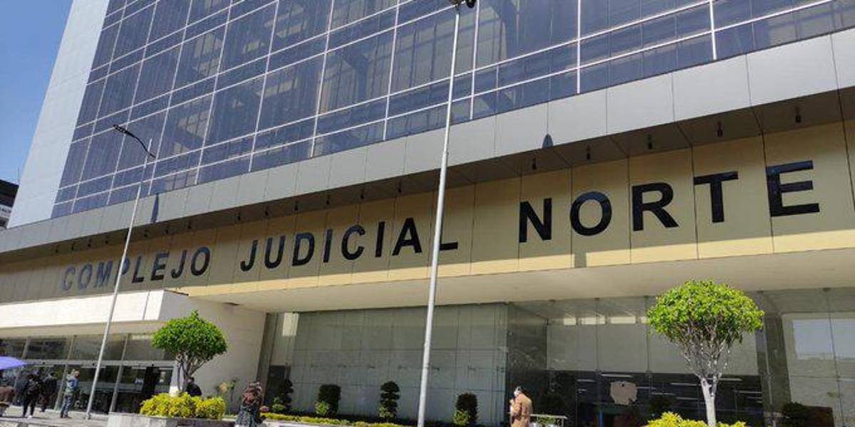 Caso Nene: la Fiscalía pide que no se acepte la apelación a la prisión preventiva al hijo de Verónica Abad