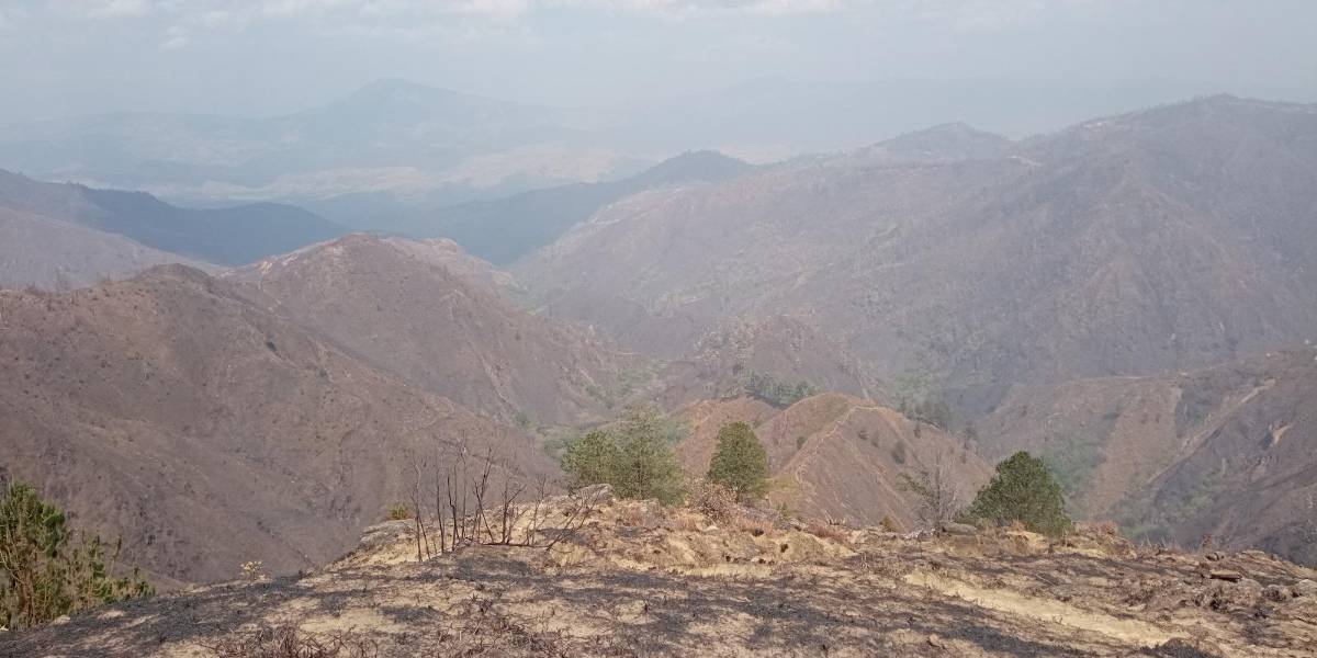 Una sequía más fuerte que la de 2024 azotó el sur del país hace 60 años, ¿Cómo se vivió?