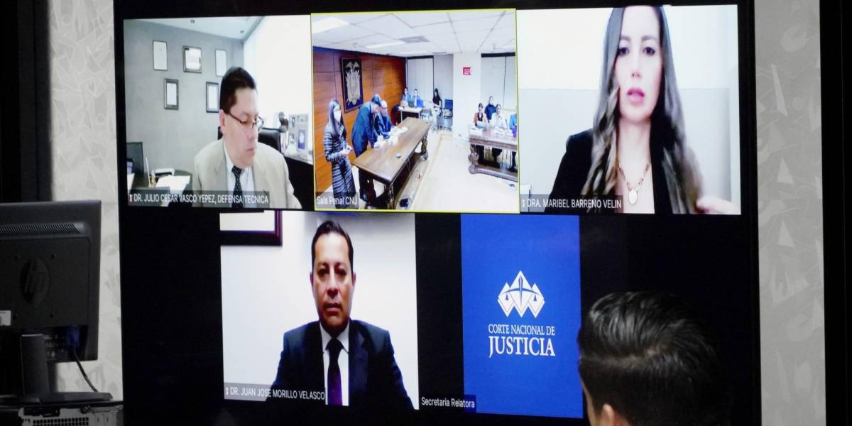 La fiscal general pide prisión preventiva para los vocales de la Judicatura, Maribel Barreno y José Morillo, por presunto tráfico de influencias