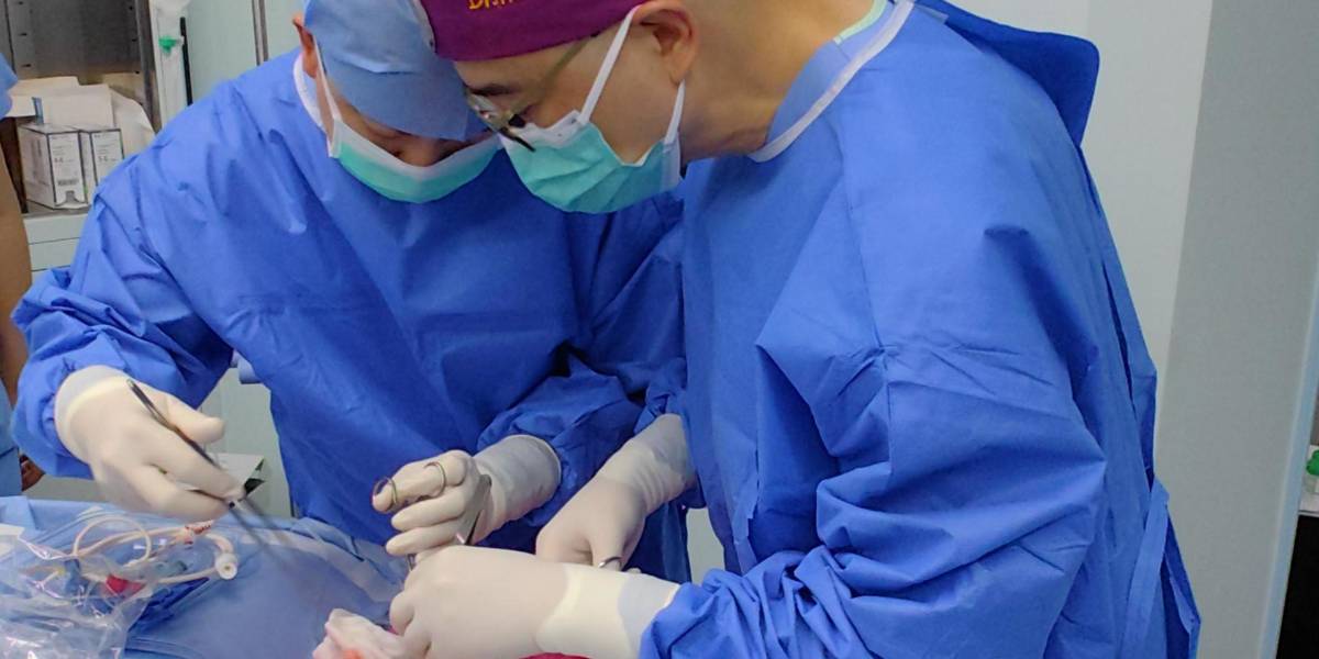 Realizan el primer trasplante de pulmón de cerdo a un humano en muerte cerebral