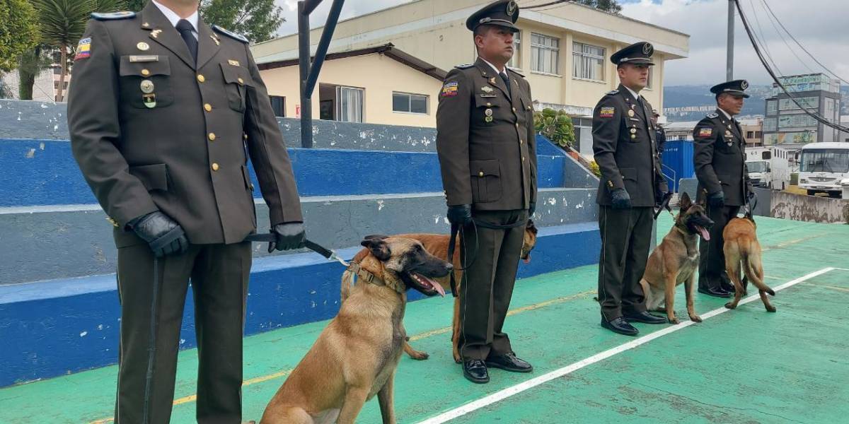 Francia dona a Ecuador cuatro perros antidrogas para fortalecer lucha contra el narcotráfico