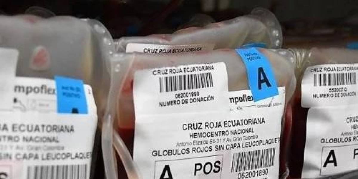 Día Mundial del Donante de Sangre: Beneficios, mitos y verdades