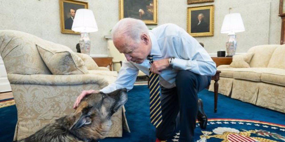 La Casa Blanca anuncia la muerte de 'Champ', uno de los perros del presidente Biden