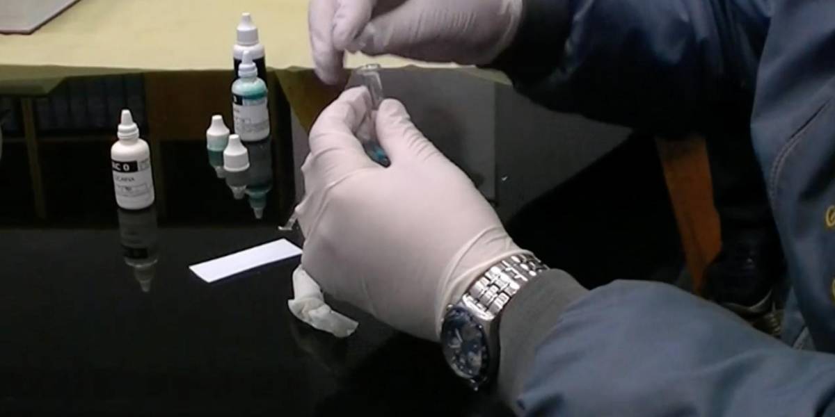 Italia encuentra 650 kilos de cocaína procedentes de Guayaquil en un puerto