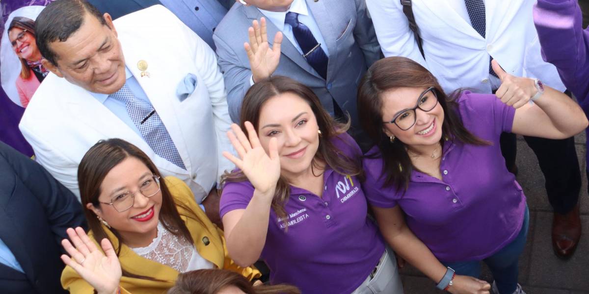 13 organizaciones harán campaña por el Sí o por el No en el Referéndum 2025; el correísmo quedó fuera