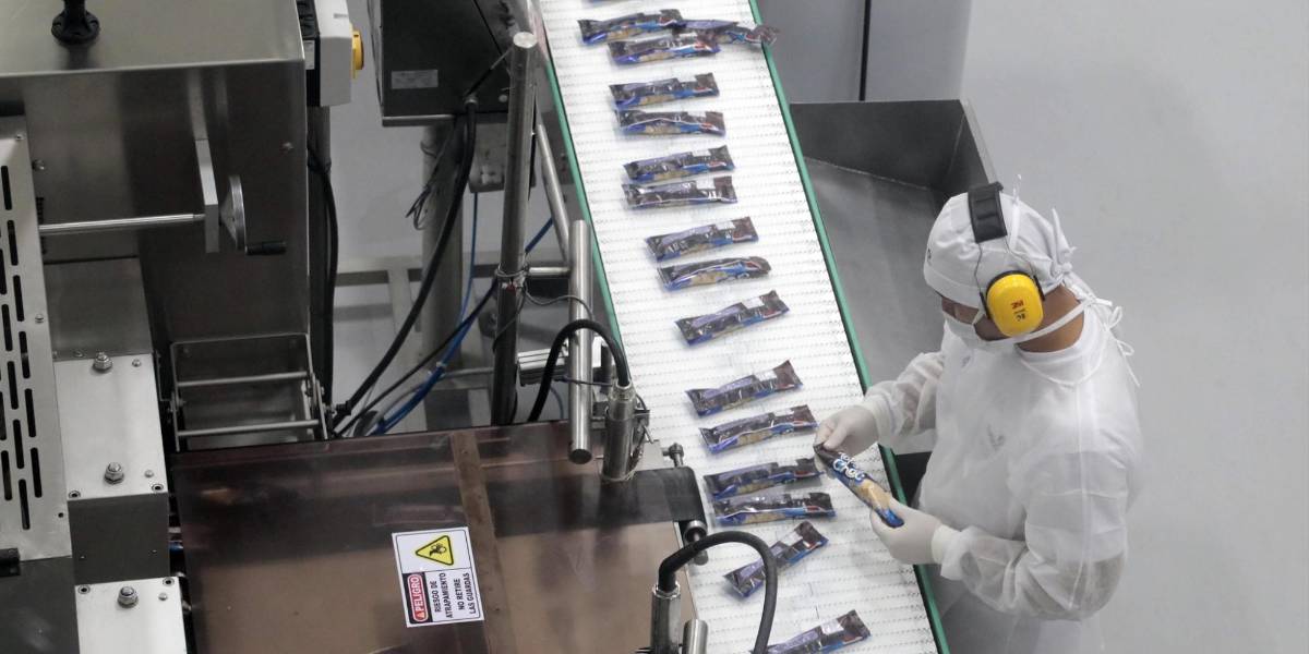 Empleo: todo está mal en Ecuador