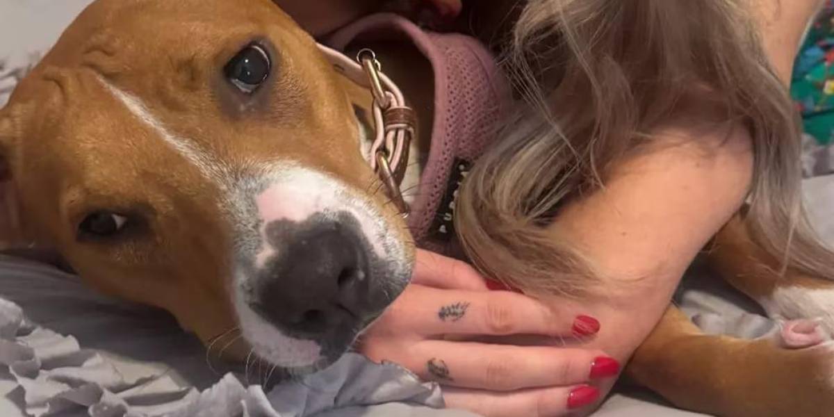 Kate Cassidy revela un emotivo tatuaje en memoria de Liam Payne