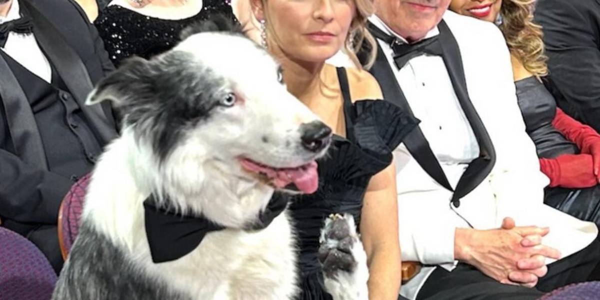 Los cinco momentos más divertidos de los Premios Oscar