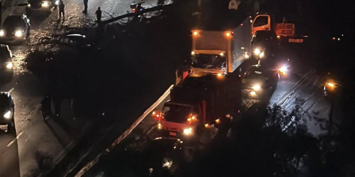 Quito: la avenida Occidental está cerrada por la caída de dos árboles