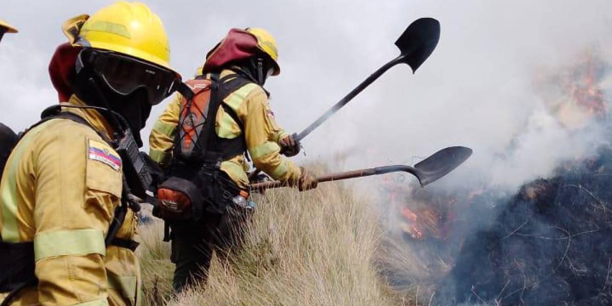Incendios forestales Quito: los bomberos controlaron el fuego en El Inga Alto, en Pifo