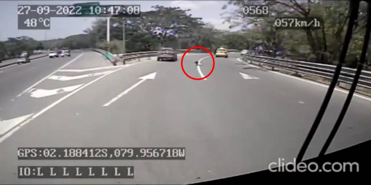 Video capta la caída de una niña de un taxi con la puerta mal cerrada en la Perimentral; se salvó de ser atropellada