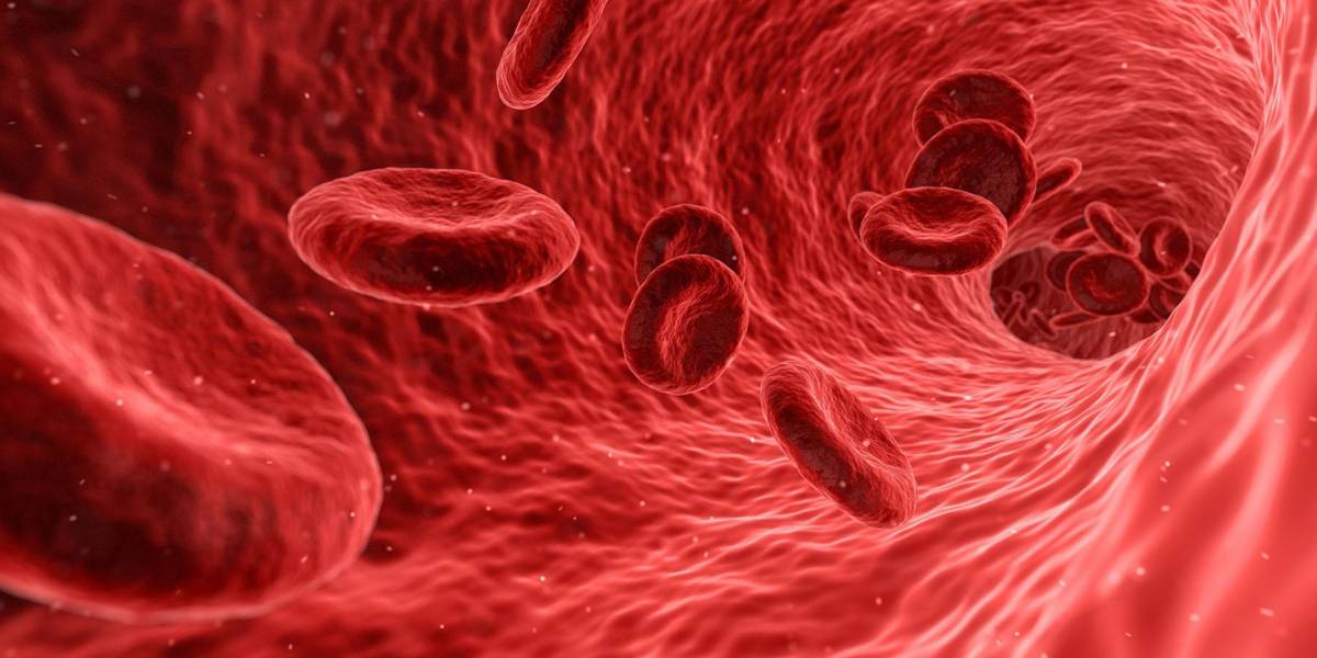 Las plaquetas son la clave del daño a los vasos sanguíneos en los pacientes de COVID-19