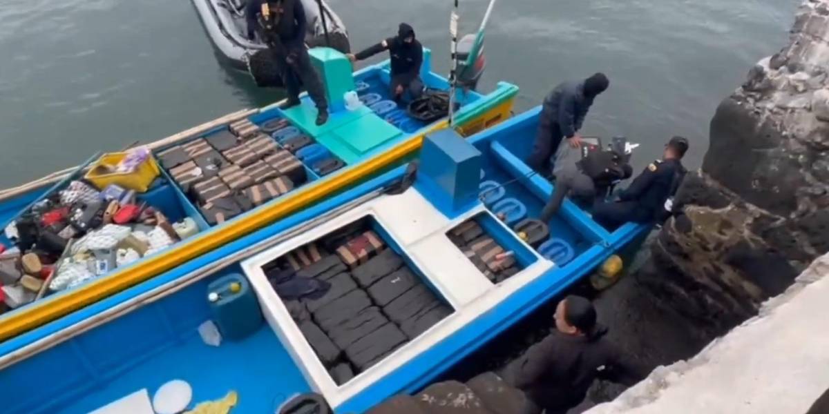 Las Fuerzas Armadas han incautado 42 toneladas de droga, en el mar, en lo que va del 2024