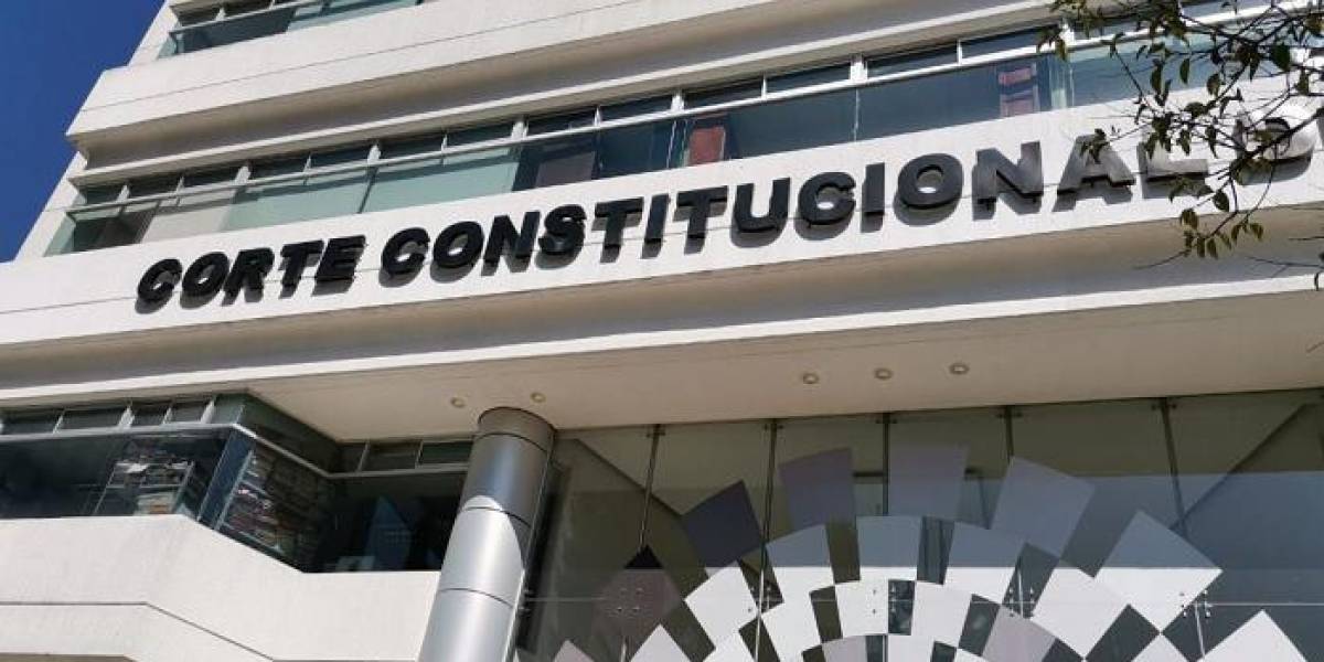 Consulta Popular 2024: dictamen de constitucionalidad del primer grupo de preguntas quedó listo