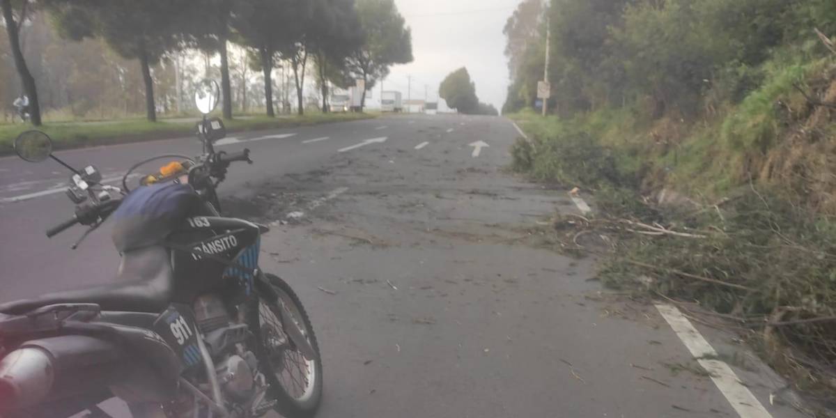 Paro nacional: en Quito se mantienen cierres viales, este 28 de junio