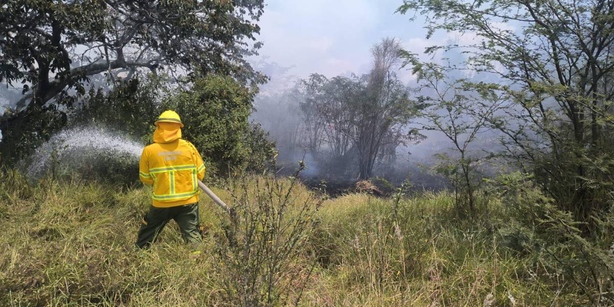 En Quito ya se han consumido 131,65 hectáreas por 15 incendios forestales; las autoridades intensifican los controles