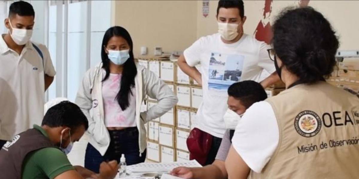 Consulta popular 2024: Una misión de la OEA observará el proceso electoral
