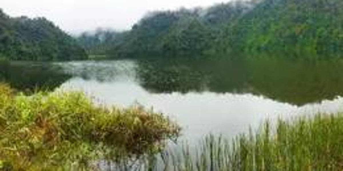 Una ciudad perdida transformó los paisajes de la Amazonía ecuatoriana