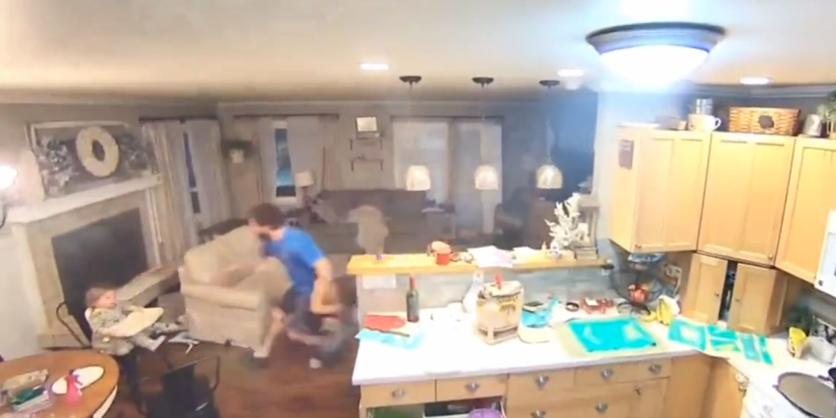 Terremoto en Alaska: videos registraron el momento en el que se desarrolló el sismo de magnitud 7,2