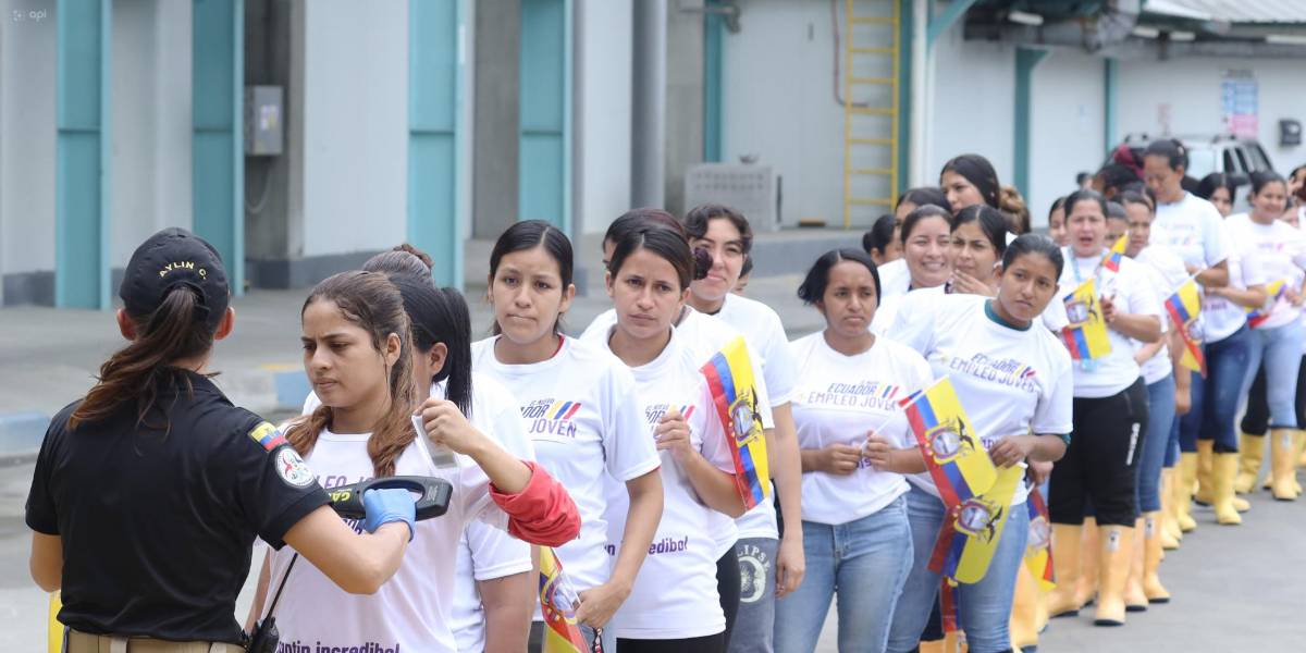 ¿Cómo funciona la afiliación Joven del IESS y qué beneficios tiene?