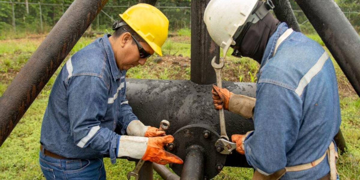 Petroecuador ha desmantelado 145 de 424 antorchas de gas en la Amazonía