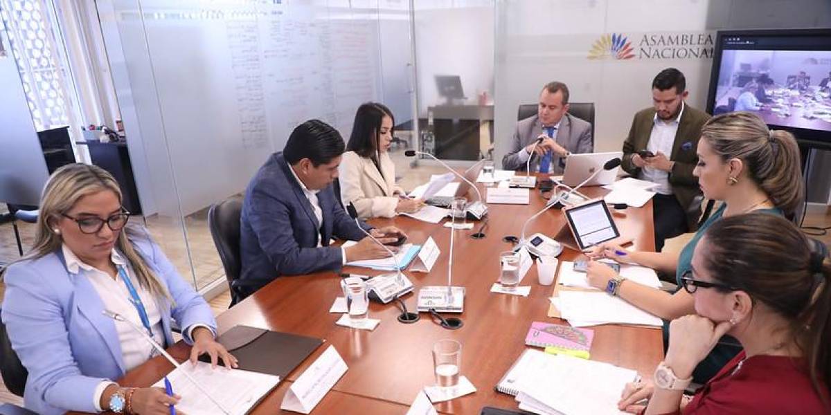 Asamblea: la Comisión Multipartidista para tratar las reformas de la consulta popular aprobó plan de trabajo