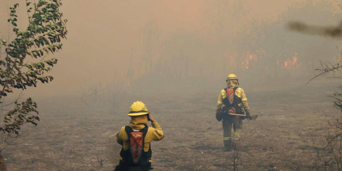 Incendios forestales en Ecuador: más de 20 000 se han registrado en la última década