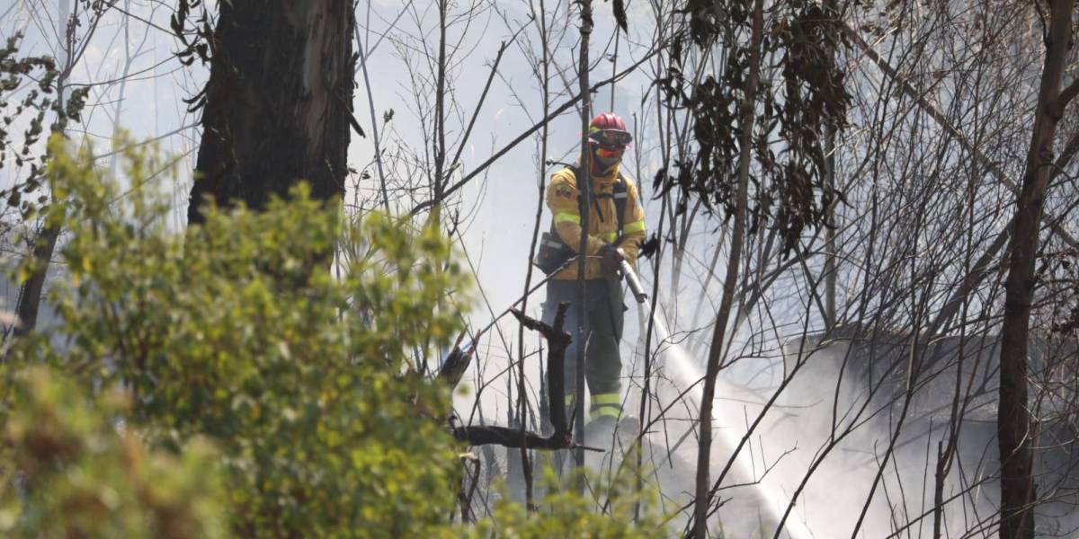 Quito: 74 incendios forestales se han reportado en lo que va de agosto