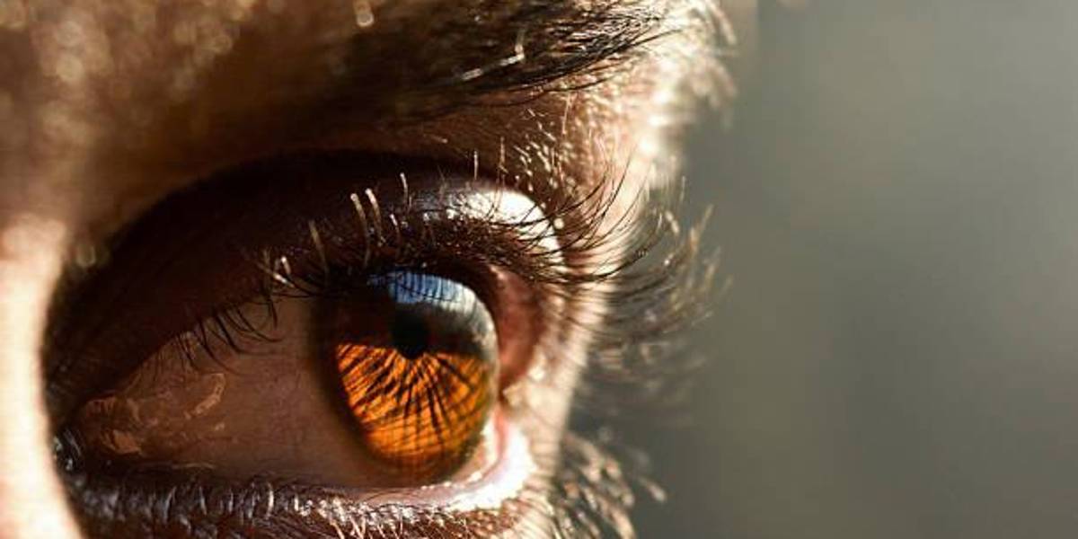 Cirujanos realizan el primer trasplante de ojo completo en el mundo