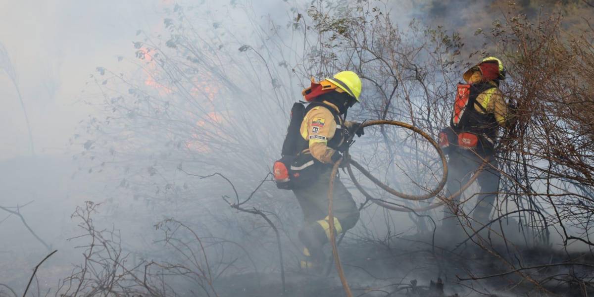 Quito: 299 incendios forestales se han reportado en lo que va de 2024