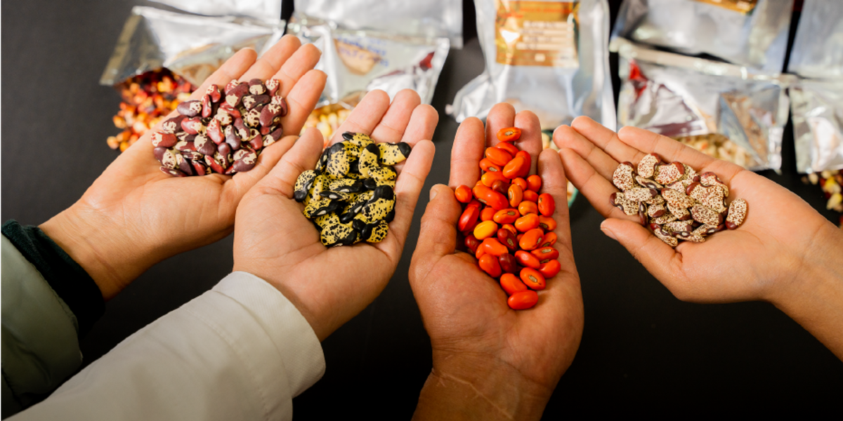 Ecuador es premiado internacionalmente por la conservación de germoplasma y la producción vegetal sostenible