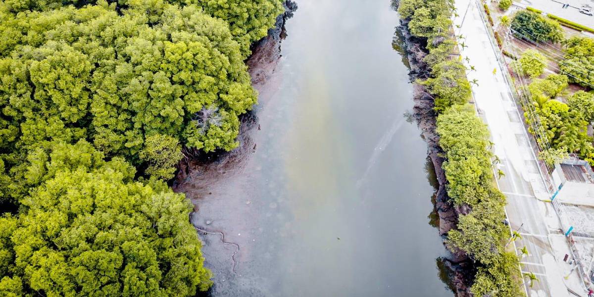 Una falla en la tubería de transporte de diésel causó un derrame de combustible en Salitral