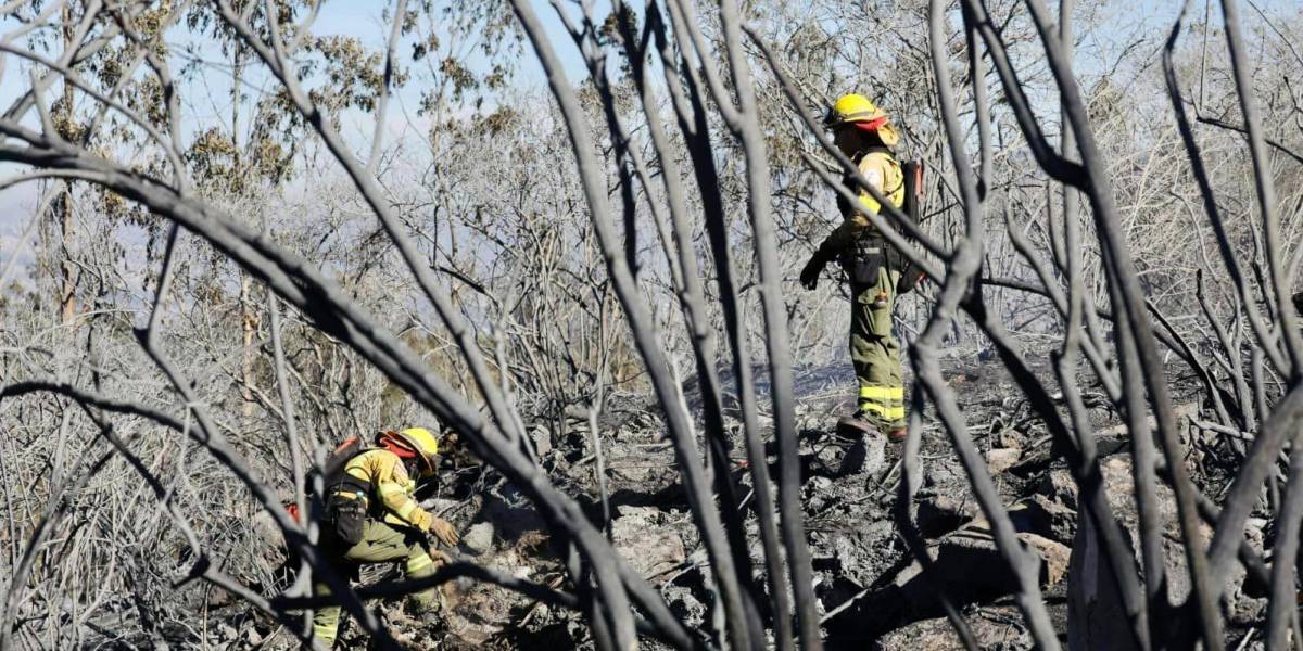 Incendios forestales Quito: dos familias afectadas en Tababela y Puembo recibieron ayuda