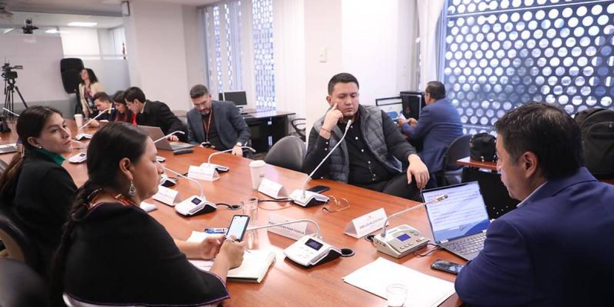 Asamblea: la Comisión encargada de analizar informe anual de Noboa pide prórroga de 30 días