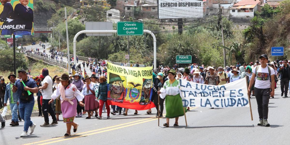 Paro parcial en Ecuador: sector florícola pierde un millón de dólares diarios por bloqueos y ataques