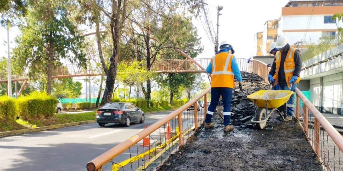 Puente peatonal en la Plaza de Toros será desmontado; revise los cierres viales