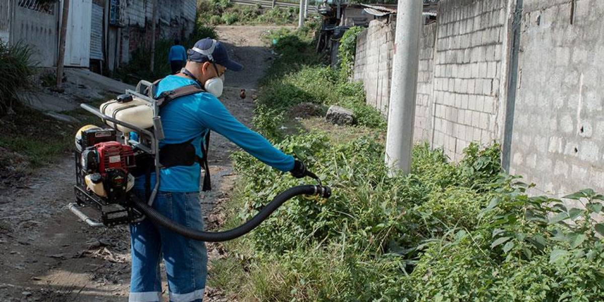 Siete fallecidos por dengue y más de ocho mil casos confirmados en el país