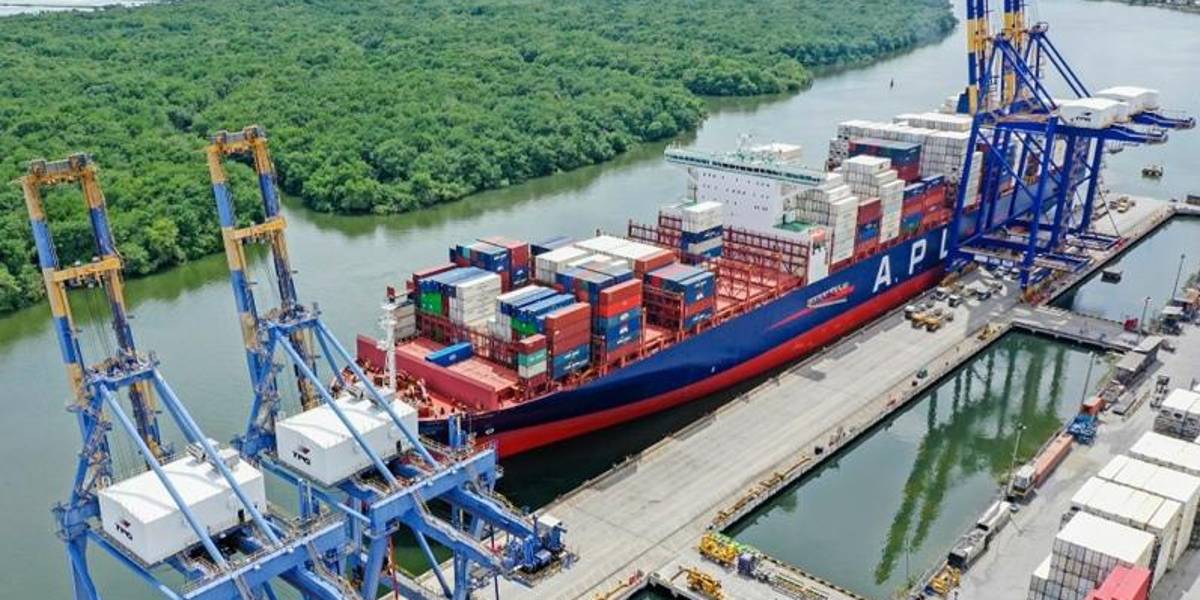 Senae estima que en septiembre comiencen a operar los escáneres en los puertos