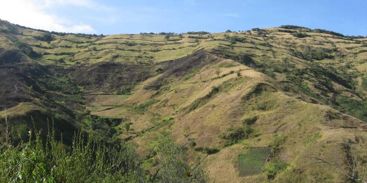 Quito: ¿cuáles son las alternativas que plantea el Municipio para cuidar al cerro Ilaló?