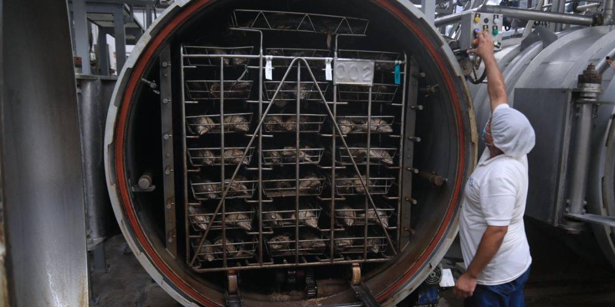 El sector industrial de Ecuador tendrá un apagón por 15 días desde el 15 de diciembre