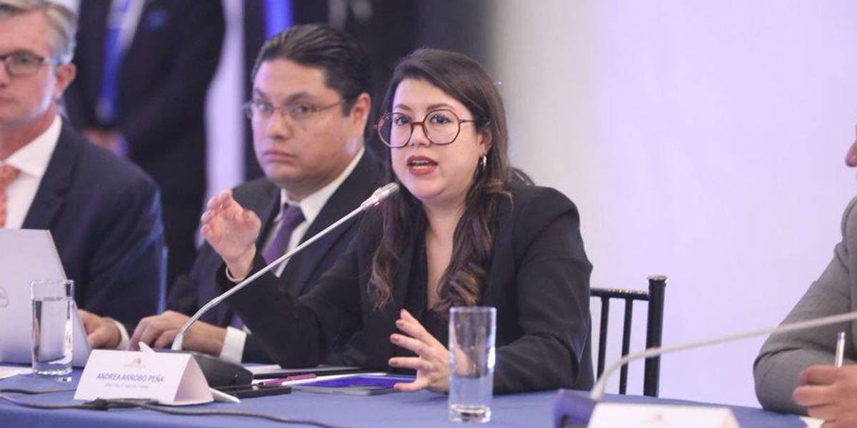 Los apagones se suspenderán desde mediados de diciembre hasta fin de año, anuncia la ministra de Energía