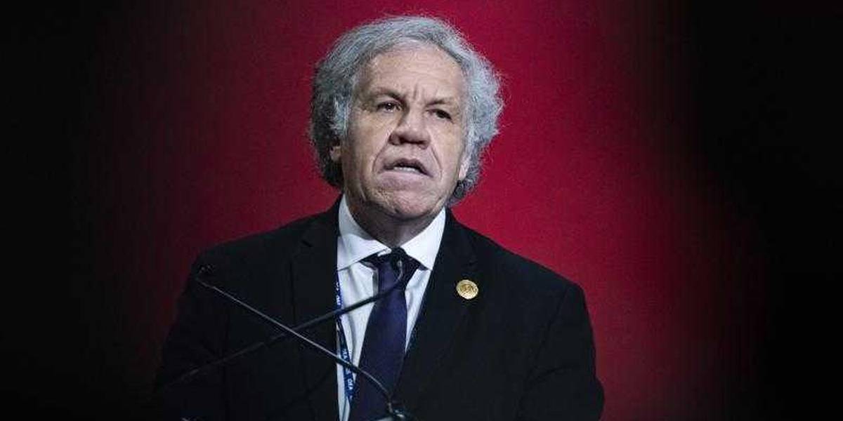 Congresistas demócratas piden que el Gobierno de EE.UU. apoye investigación contra Almagro