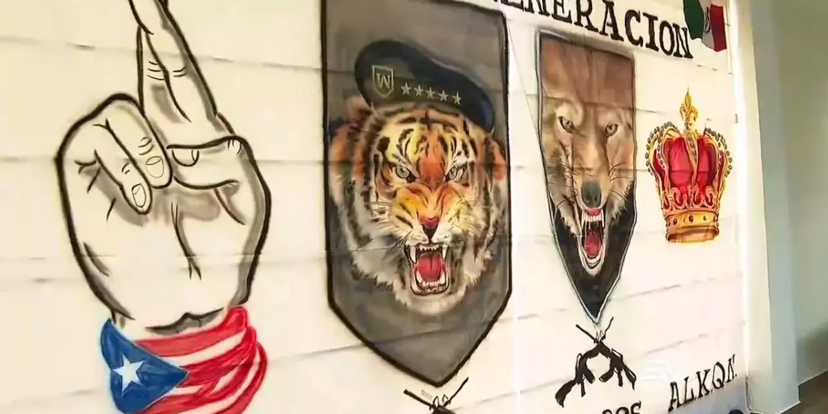 Dictan prisión preventiva para presunto integrante de Los Lobos por tráfico de drogas y armas