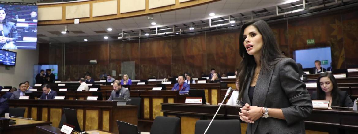 Diana Jácome, quien impulsa la reforma al COIP, en el Pleno de la Asamblea.